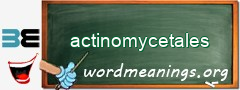 WordMeaning blackboard for actinomycetales